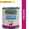 Farmina Vet Life Struvite Wet Dog Food – 300 g