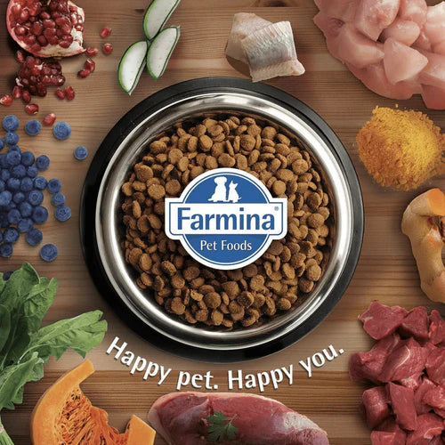 N&D Prime Chicken & Pomegranate Grain Free Kitten Cat Dry Food
